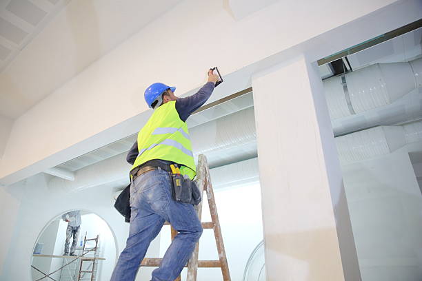  Williamston, SC Mold Removal Pros